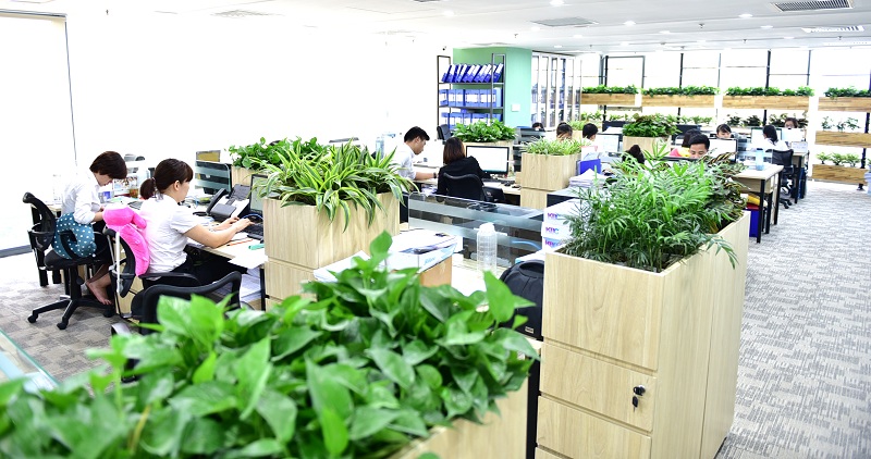 Mô hình văn phòng làm việc chung tiềm năng tại thị trường Việt Nam