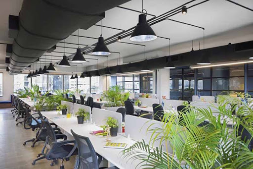 Mô hình văn phòng xanh  lựa chọn mới cho các doanh nghiệp