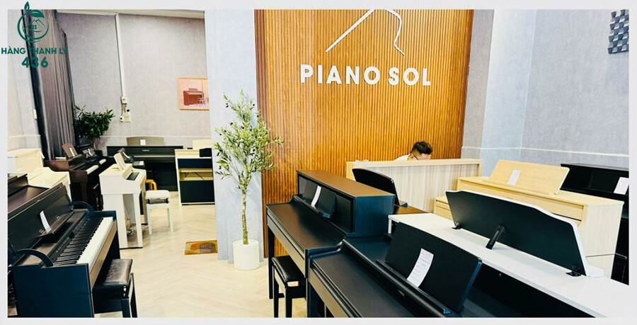 Cua-hang-Piano-Sol Top 10 Đơn Vị Mua Bán Đàn Piano Cũ Nhiều Loại  