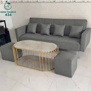thanh ly bo sofa bed (8)