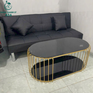 thanh ly bo sofa bed (9)