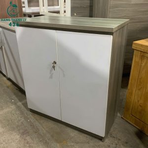 Tủ Hồ Sơ Cabin Cũ 2 Cánh Thiết Kế Nhỏ Gọn
