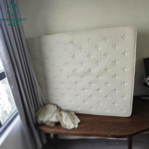 nem-ngu-cu-dang-phang-gon-gang