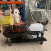 Bàn Trà Kính Đen Cũ Có Tầng Để Đồ 1m1